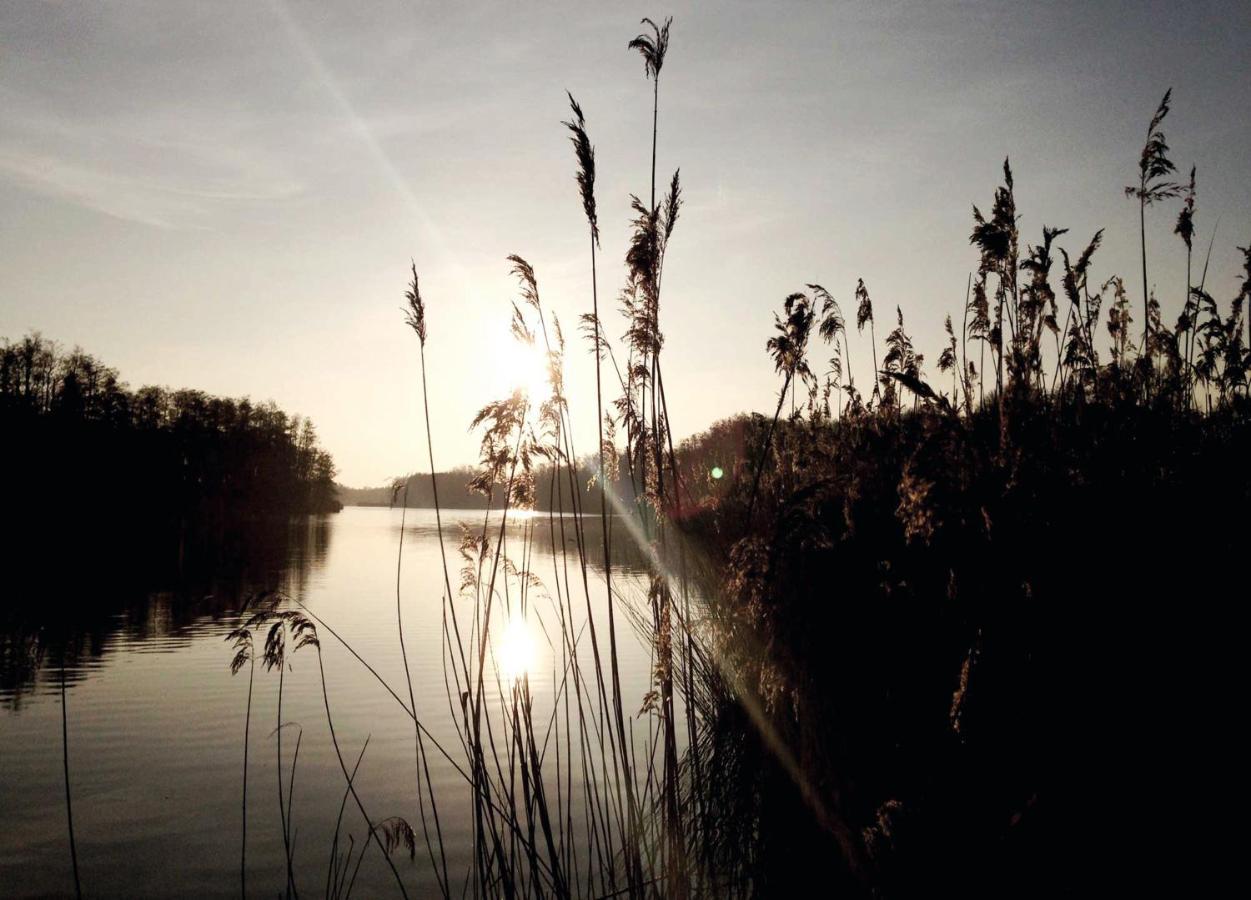 Relais & Chateaux Gutshaus Stolpe Stolpe an der Peene Zewnętrze zdjęcie