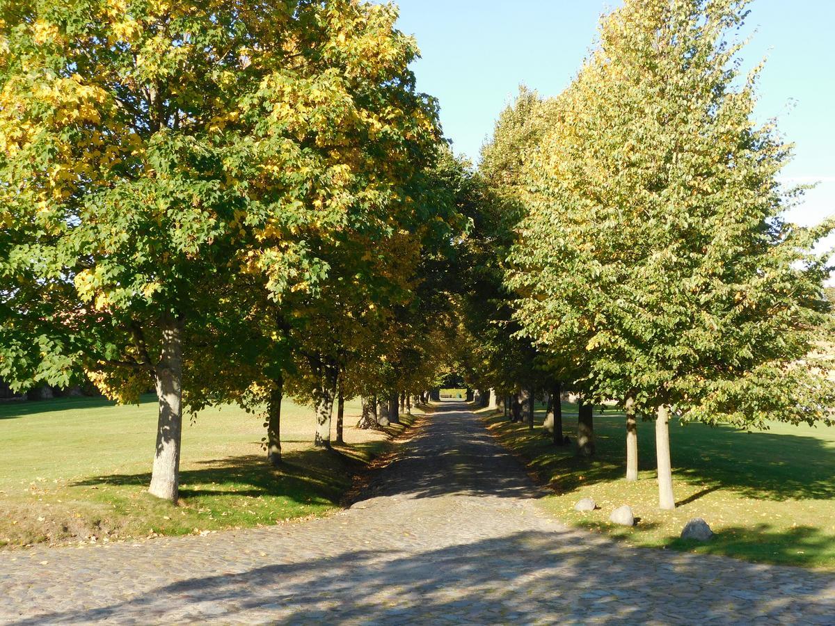 Relais & Chateaux Gutshaus Stolpe Stolpe an der Peene Zewnętrze zdjęcie